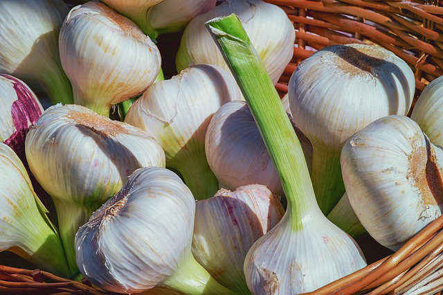 garlic remedy for teeth